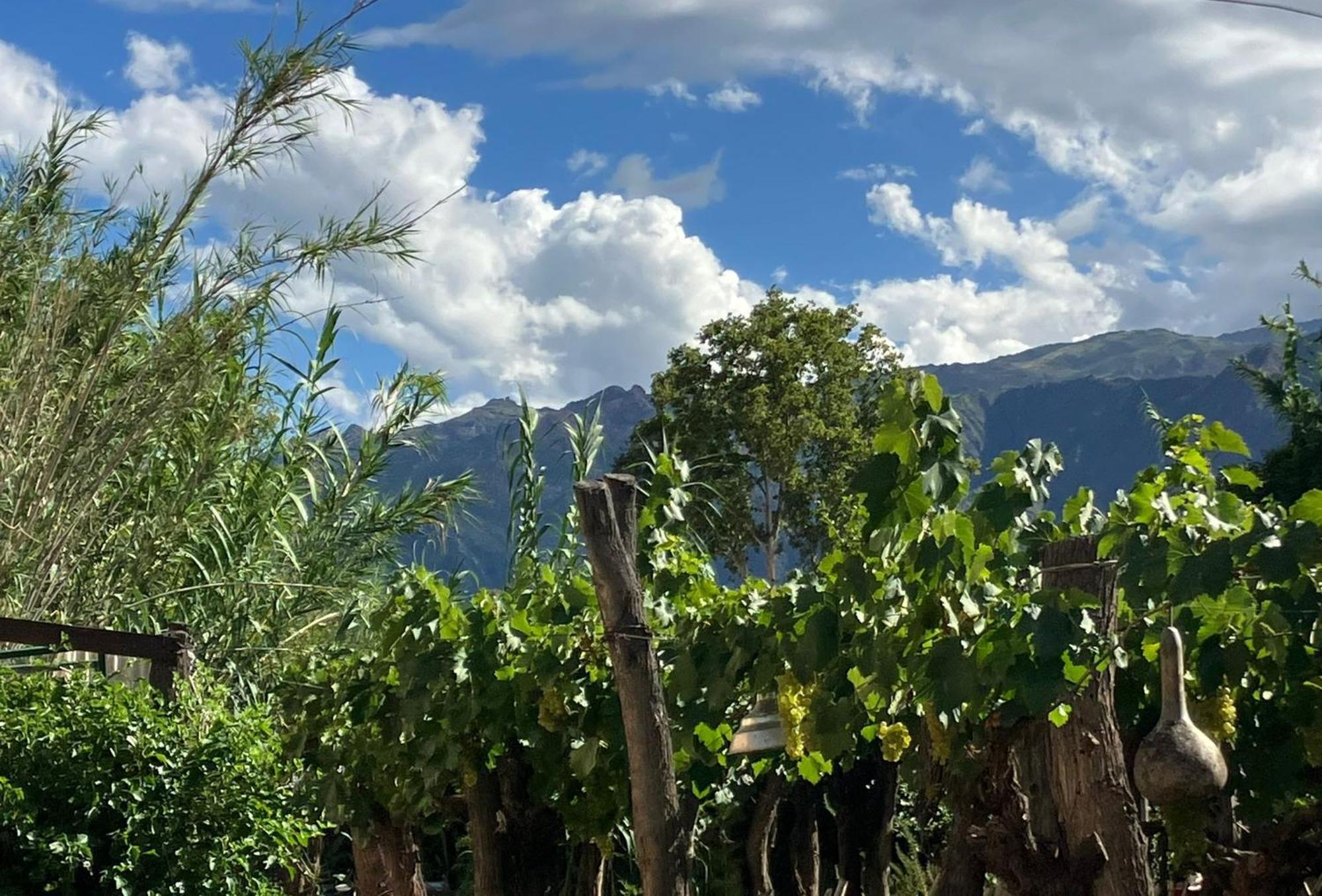 Casa Prana Estudio De Yoga Cafayate Eksteriør bilde