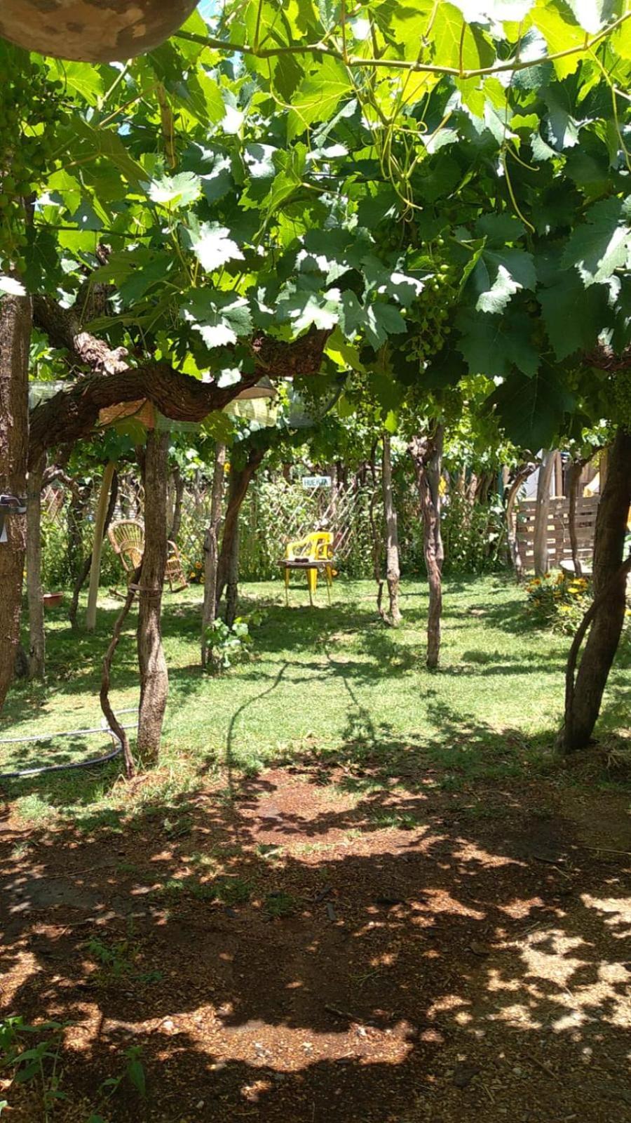 Casa Prana Estudio De Yoga Cafayate Eksteriør bilde