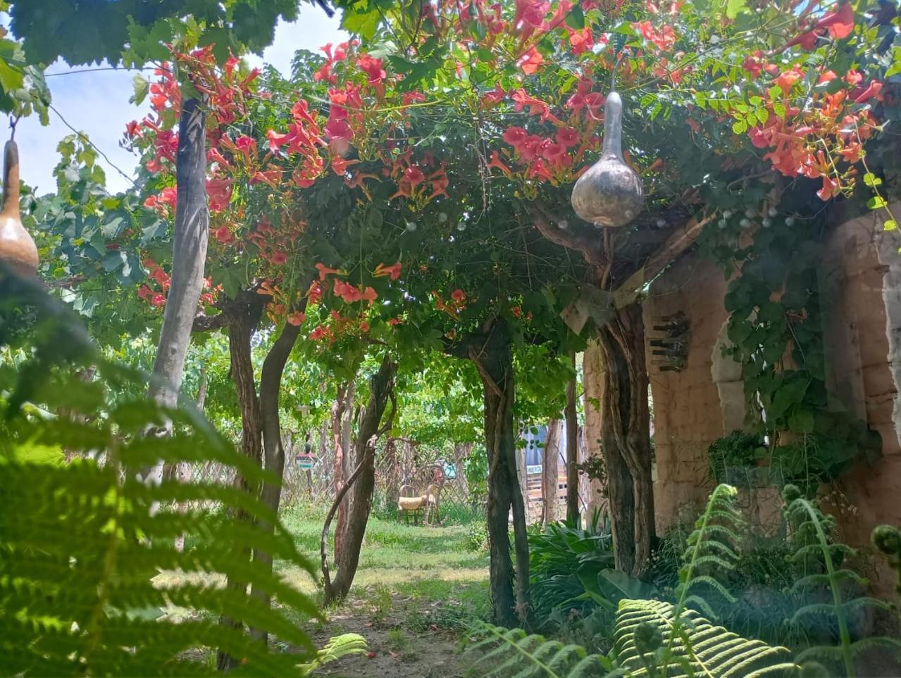 Casa Prana Estudio De Yoga Cafayate Eksteriør bilde